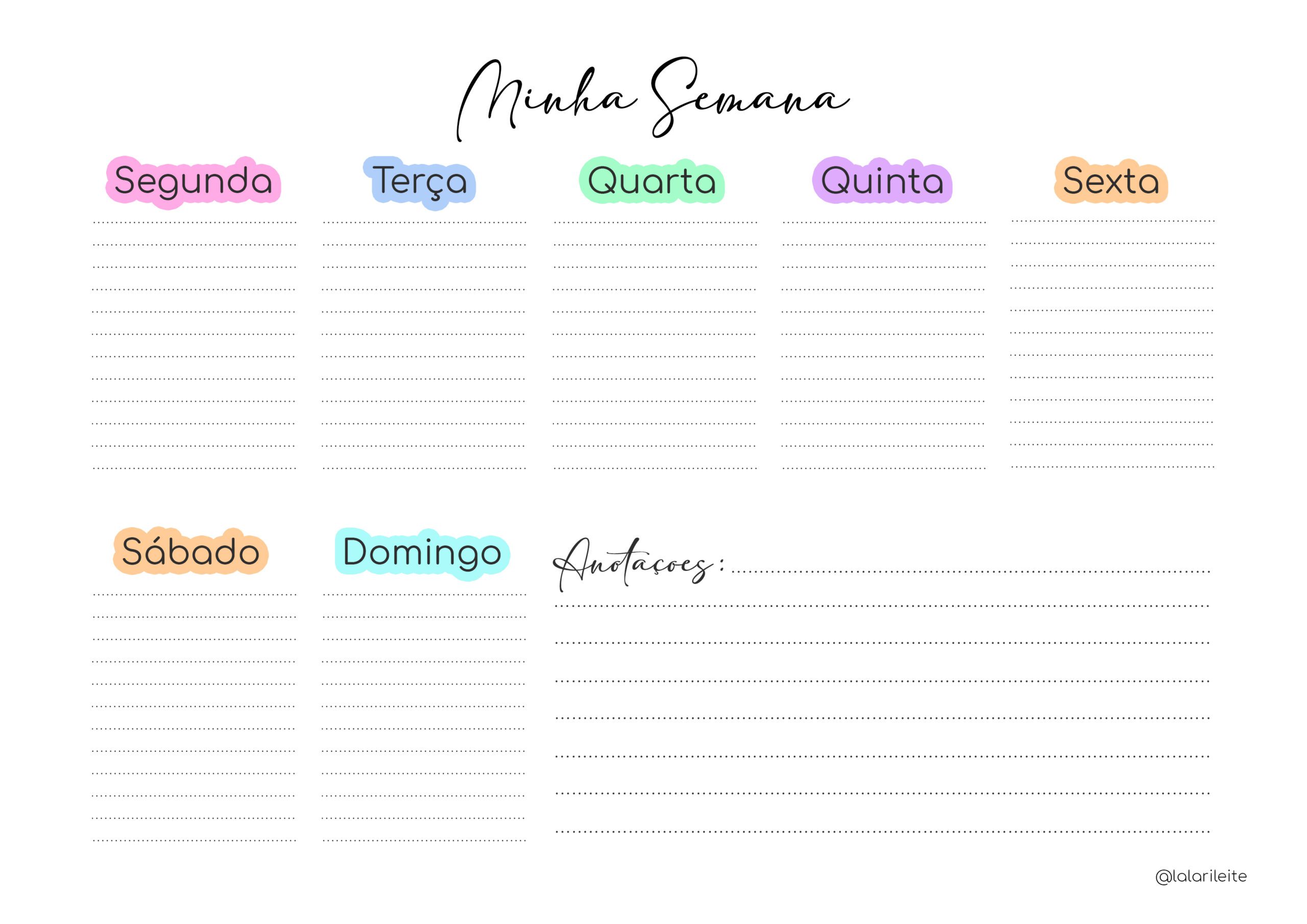 planner de metas semanais