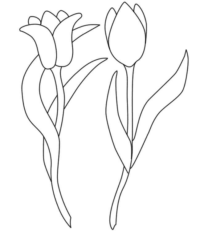 riscos de flores para artesanato