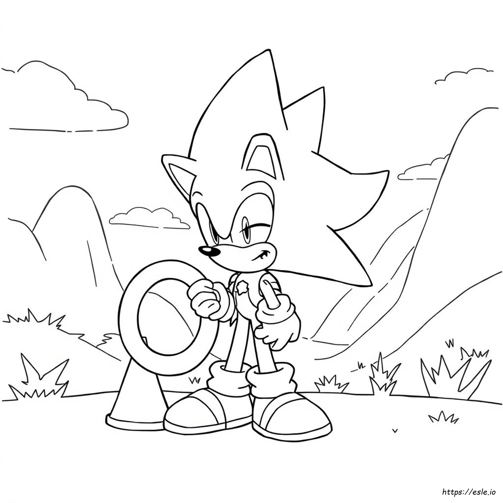 desenhos do ouriço azul para colorir