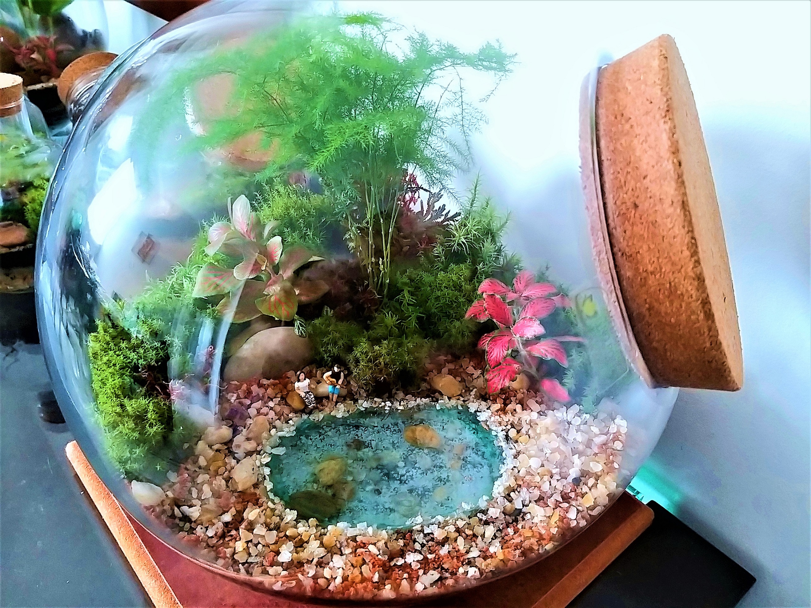 terrario de animais